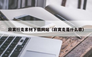 娄底寂寞行走素材下载网站（寂寞走是什么歌）